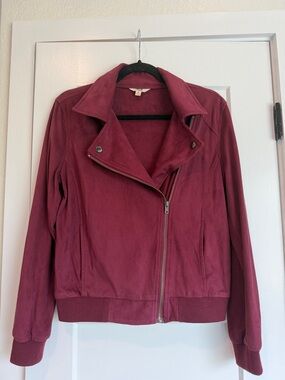 BB Dakota Women's Burgundy Suede Moto Jacket